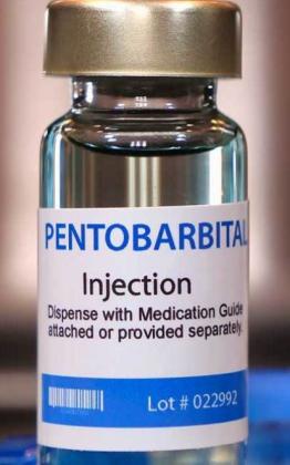 Nembutal Pentobarbital Sodium For sale Now