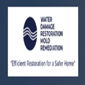 Water Damage Restoration Mold Remediation Cedar Park