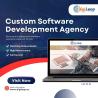 Custom Software Development Agency - DigiLeap