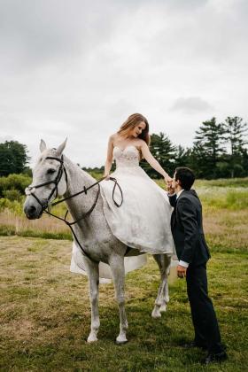 Falls Creek Farm