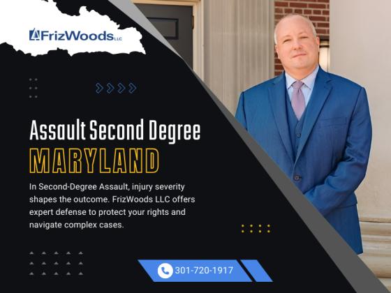 FrizWoods LLC - Criminal Defense Law Firm