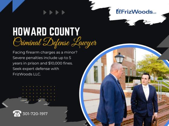 FrizWoods LLC - Criminal Defense Law Firm