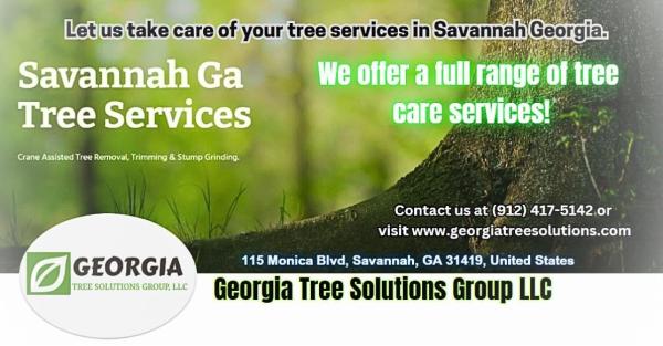 Georgia Tree Solutions Group LLC