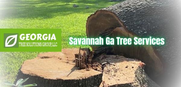 Georgia Tree Solutions Group LLC